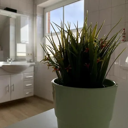 Apartment Harms, *